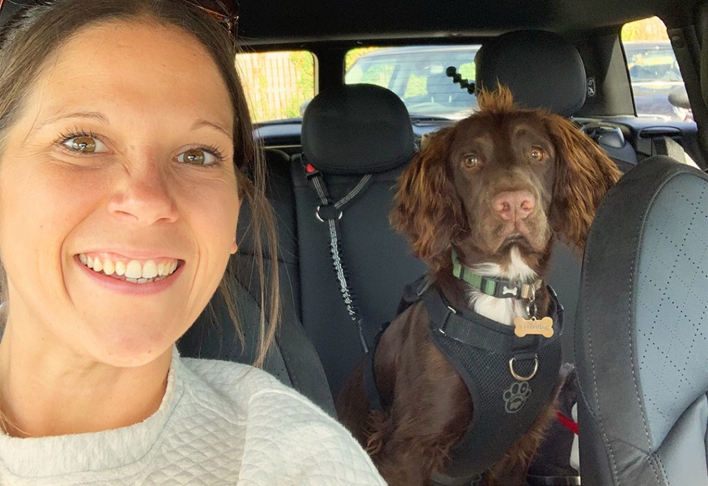 Dog sitting in a MINI